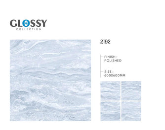 60x60 cm Vitrified Tiles